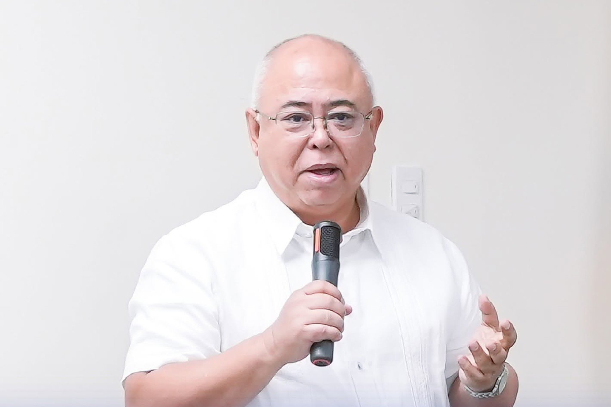 Ombudsman suspends Mendoza, Guadiz over LTO IT system