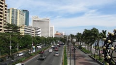 DENR probes overnight tree removal along Roxas Boulevard
