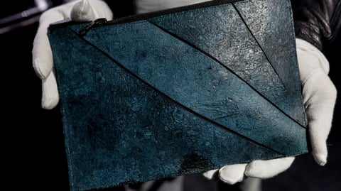 Bag made from T-Rex cells fails to sell 
at auction