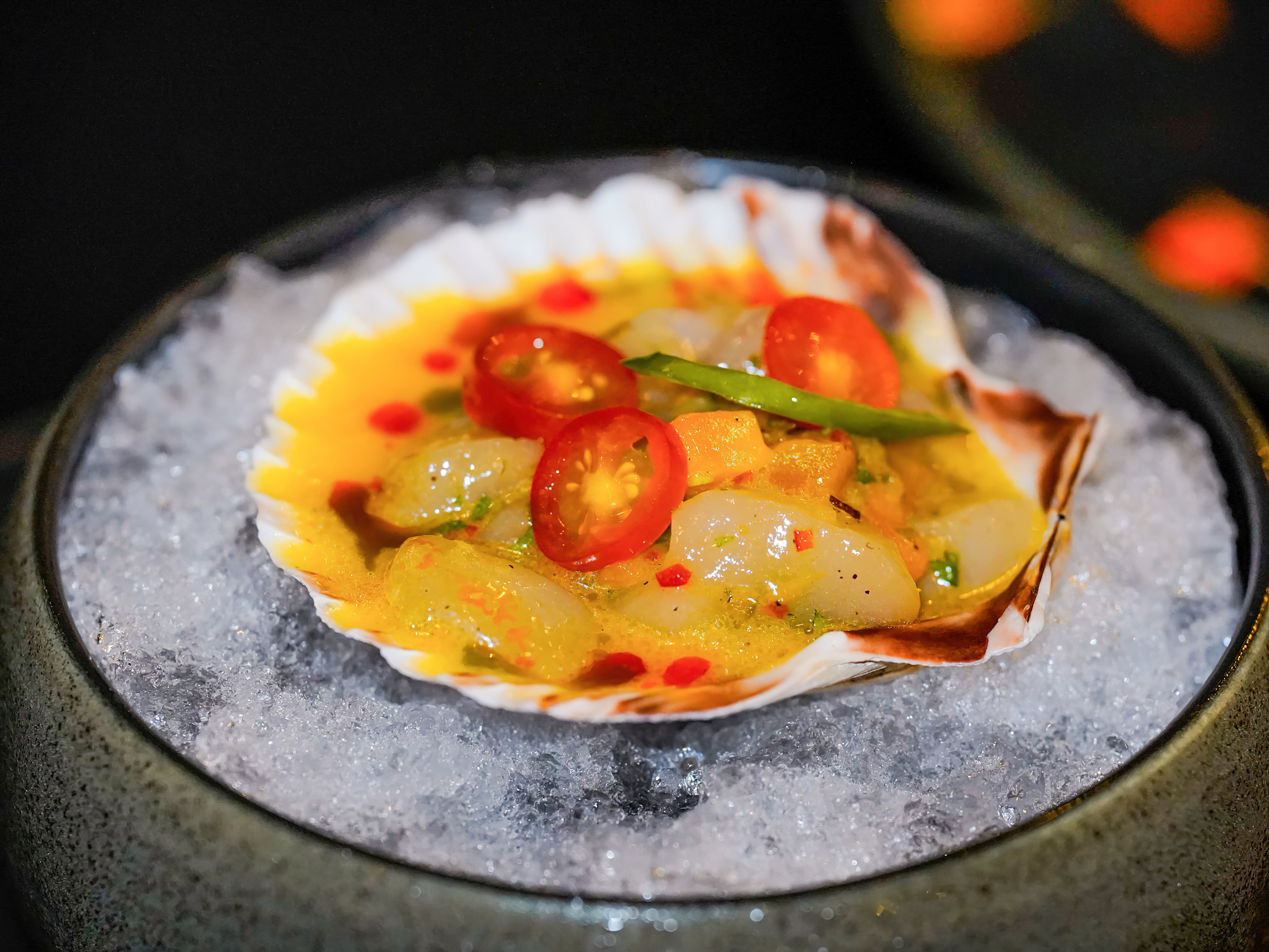 CEVICHE de Vieiras.