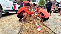 PCG: Oil spill contained