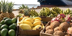 Phl products gain global branding push