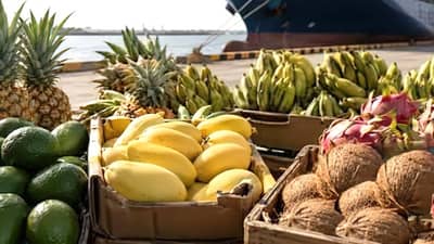 P9-B farm roads to cut agri costs