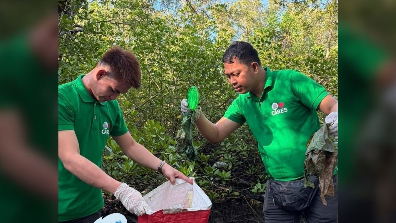 SM Cares leads Sorsogon mangrove cleanup