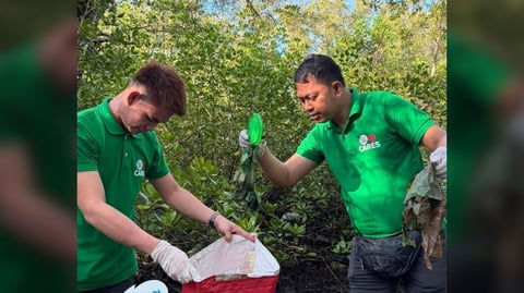 SM Cares leads Sorsogon mangrove cleanup