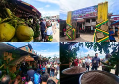 DAR joins 76th Katigbawan Festival opening at Catigbian, Bohol​