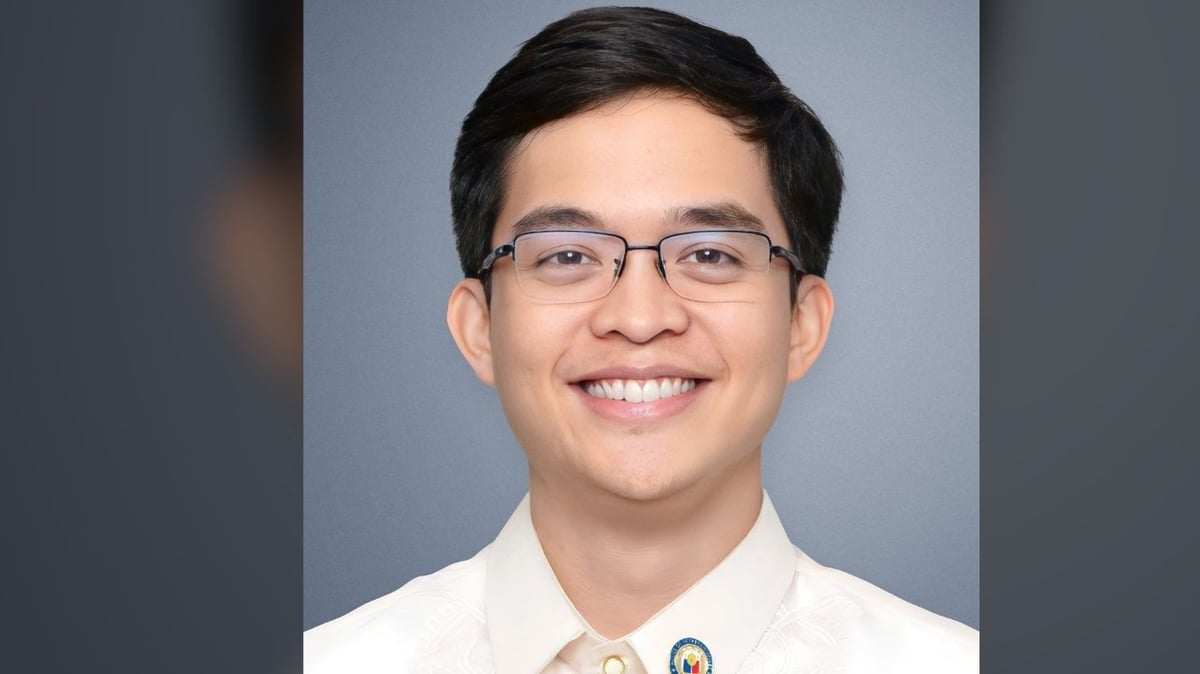 Leviste eyes HoR funds reallocation