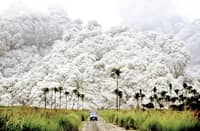 Mount Pinatubo released pyroclastic materials while a blue vehicle outran a deadly, cauliflower-like ash cloud within the danger zone in Botolan, Zambales, early in the morning of June 15, 1991. The photo, captured by a Filipino photographer, won the 1992 World Press Photo Award in Amsterdam under the Nature category and was later included in TIME Magazine’s list of the “Greatest Images of the 20th Century” as well as National Geographic’s “100 Best Pictures of the 20th Century.” (Photo courtesy of Alberto Garcia).