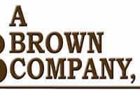 A Brown cleared to tap debt market for up to P12B