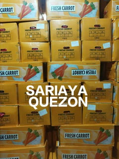 Imported carrots flood markets, crushing Cordillera farm prices