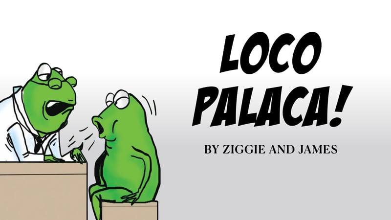 LOCO PALACA! | 20 June 2026