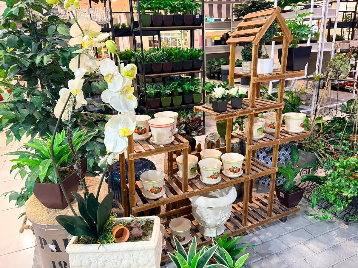 INDOOR greenery brings a fresh, calming touch that helps soften your space.