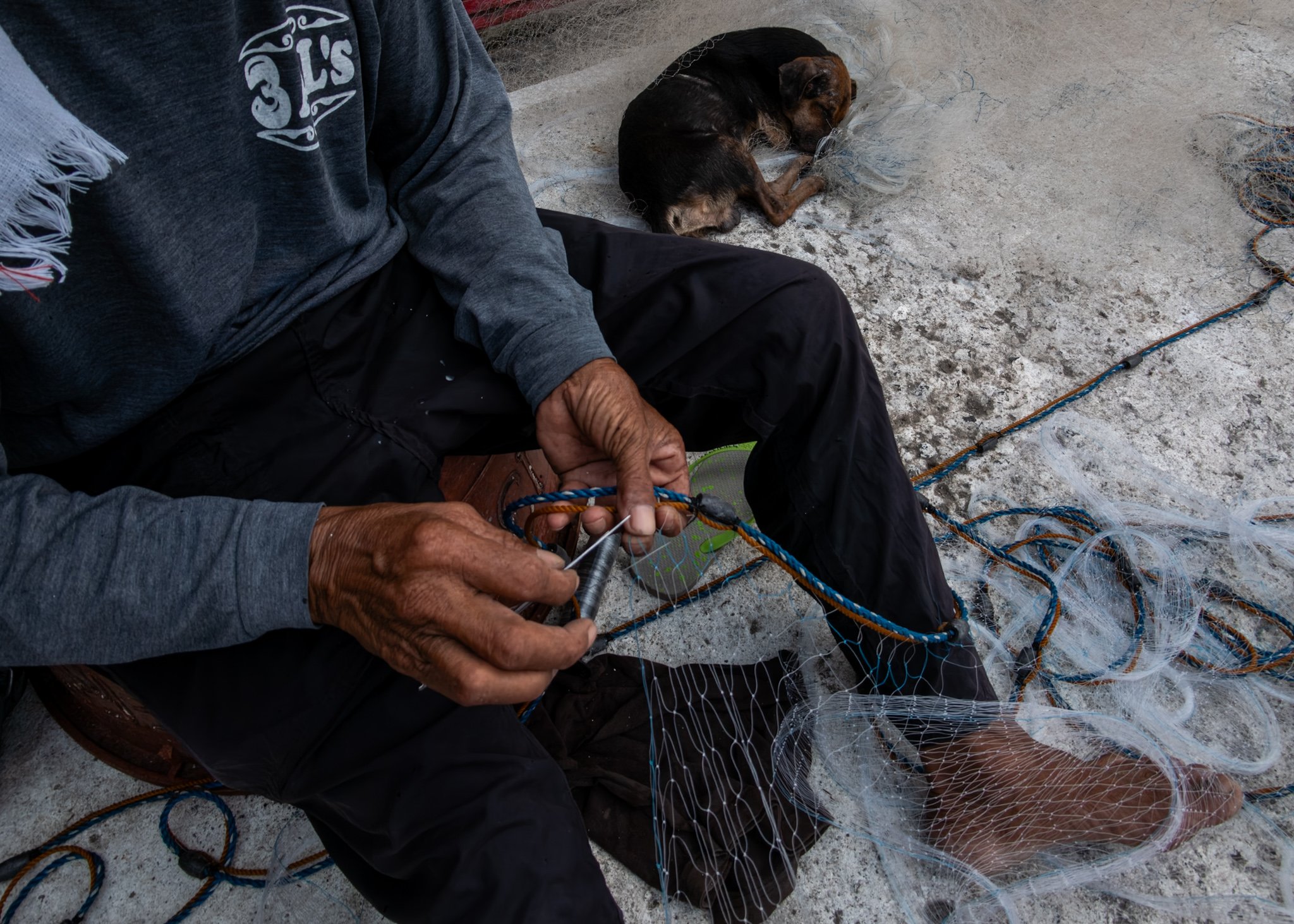 FISHERMAN’S BEST FRIEND. 