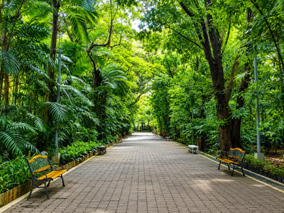 7 nature escapes in Metro Manila that cost less than your milk tea