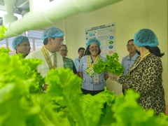 Leyte tests indoor vertical farming for disaster-hit communities