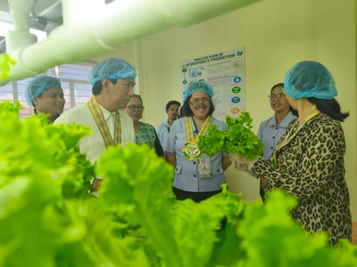 Leyte tests indoor vertical farming for disaster-hit communities