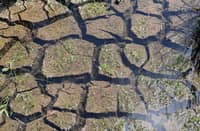 Akbayan says 2027 budget falls short of Super El Niño threat