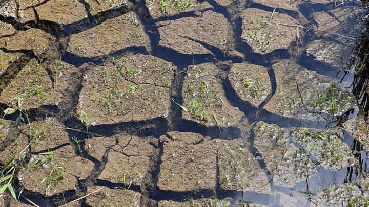 Akbayan says 2027 budget falls short of Super El Niño threat