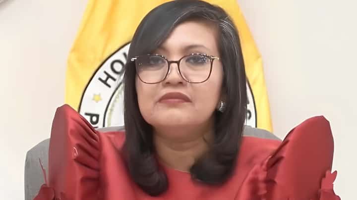 VP counsel owned prosec ‘fake news’