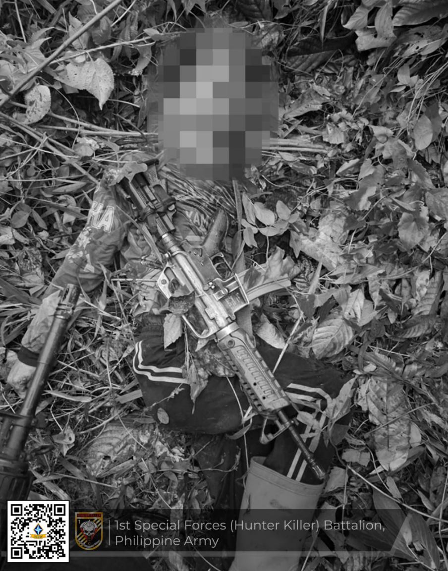 Top NPA leader, member killed in Bukidnon clashes