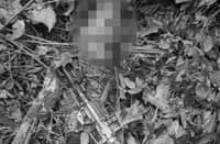 Top NPA leader, member killed in Bukidnon clashes