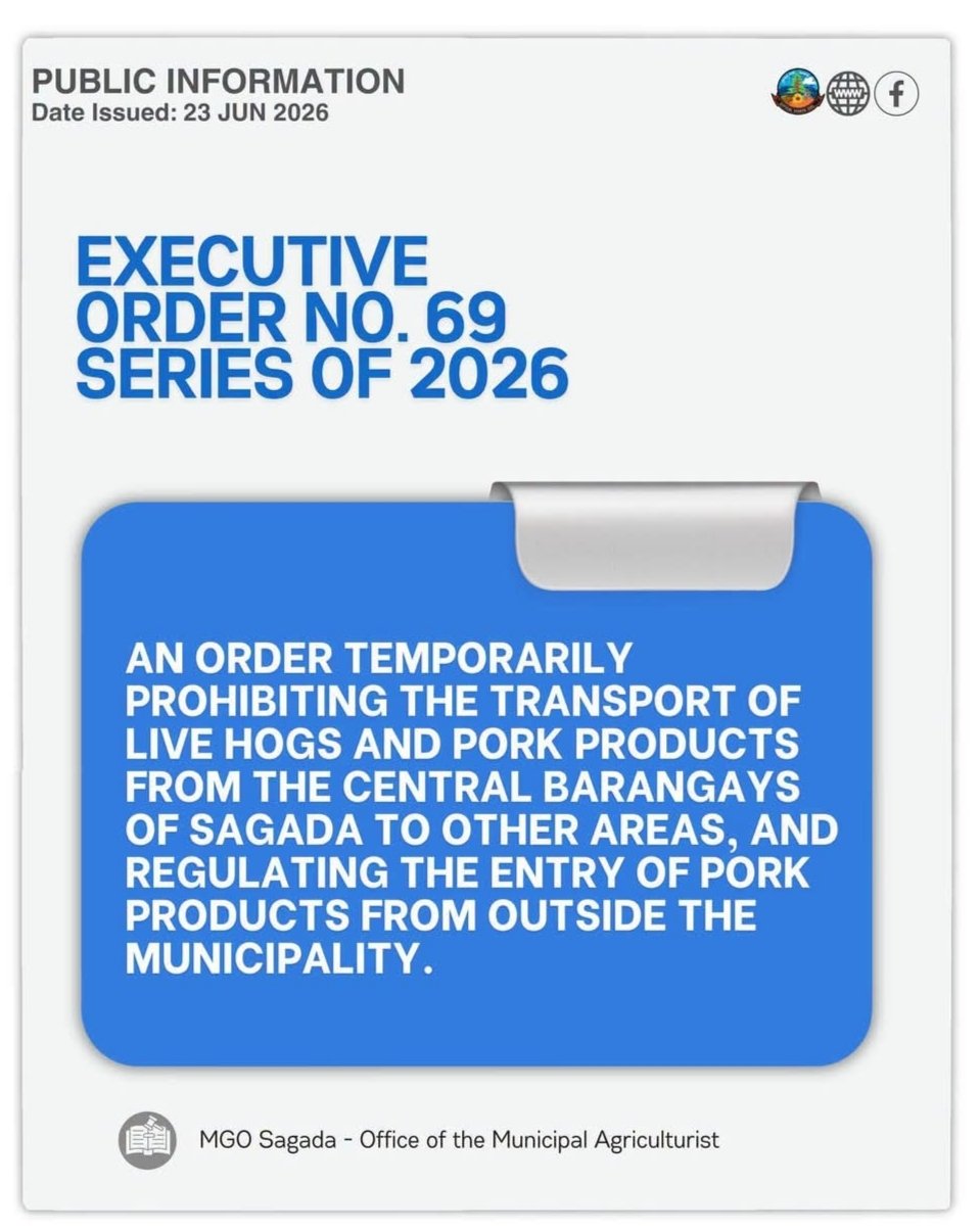Sagada restricts hog movement amid undetermined swine disease