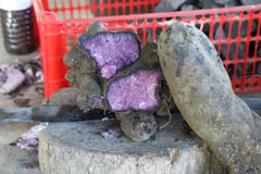 Ube eyed to trim $10B farm trade gap