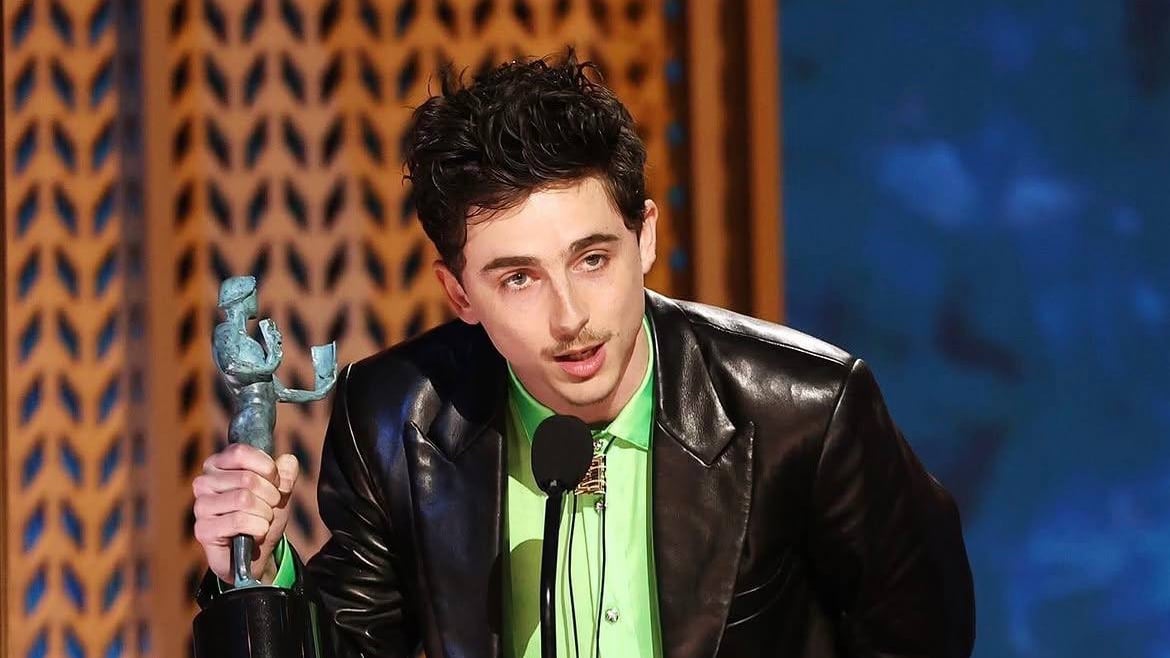 Timothée Chalamet's next movie could be Illumination's shot at Oscar glory
