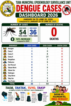 Dengue cases in Benguet town rise 50% in first half of 2026