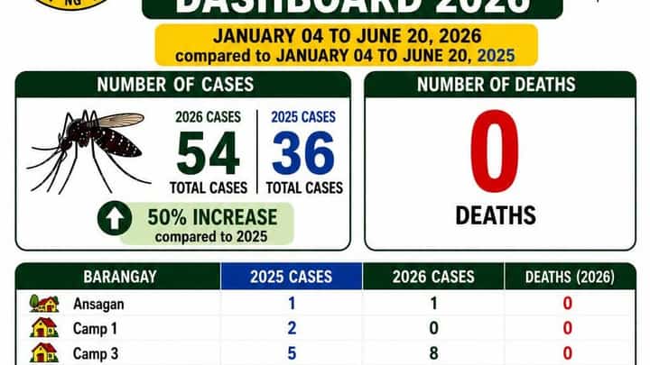 Dengue cases in Benguet town rise 50% in first half of 2026