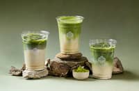 ELEVATE your tea ritual with the rich taste and vibrant essence of authentic Chinese matcha.