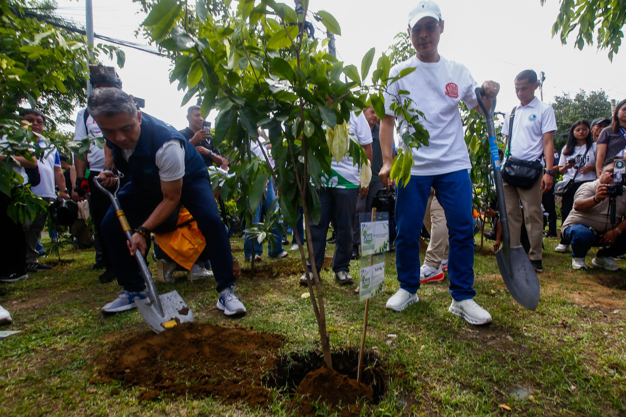 National Arbor Day