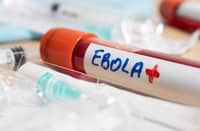 Ebola treatments trials start next week