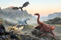 FOR centuries, dragons were the foundation of House Targaryen’s supremacy in Westeros, allowing the dynasty to conquer and rule the Seven Kingdoms.