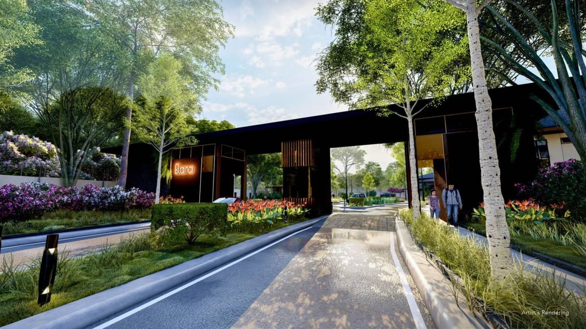 A TREE-LINED road within a modern community highlighting walkability and green urban design.