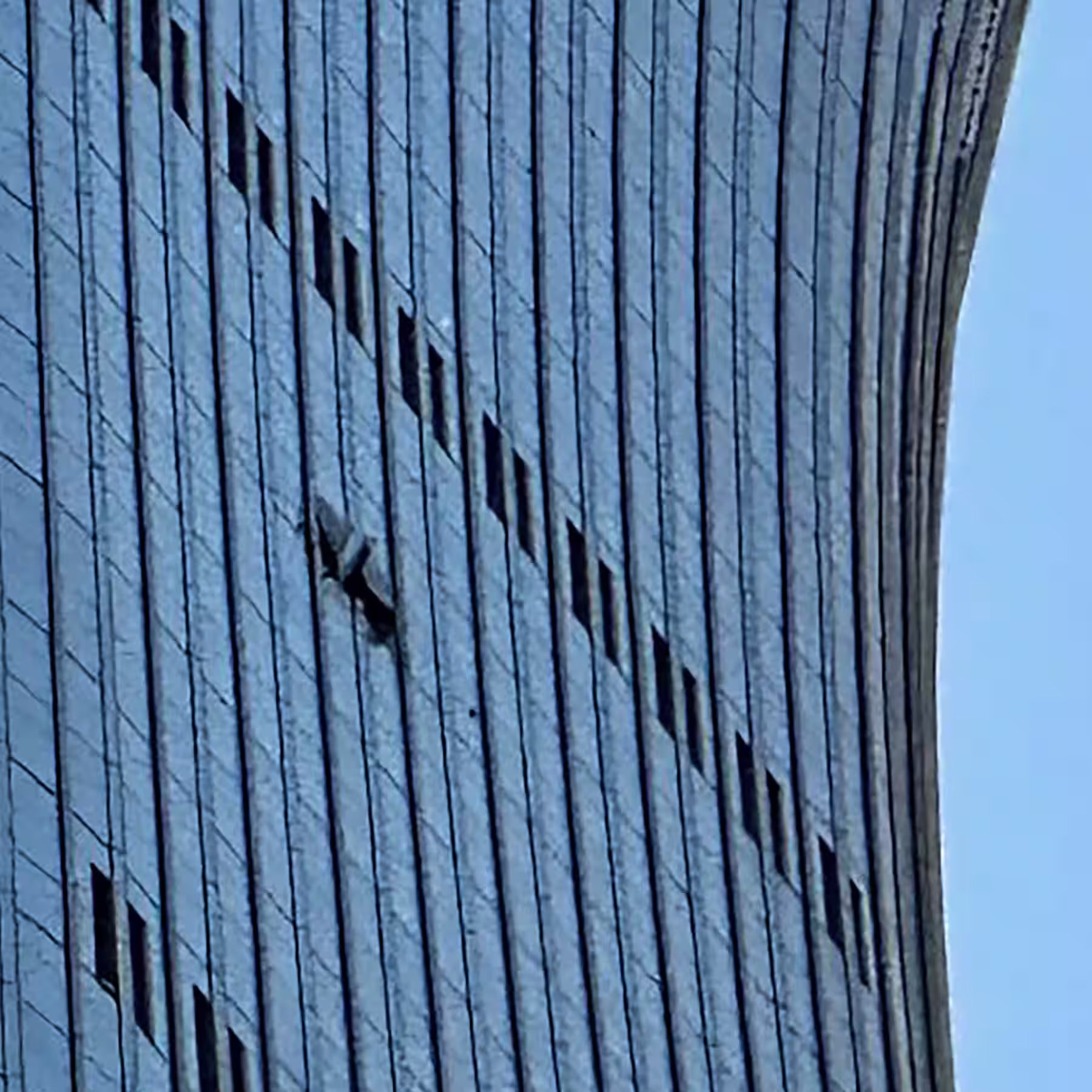 Plane appears to crash into Beijing's tallest building