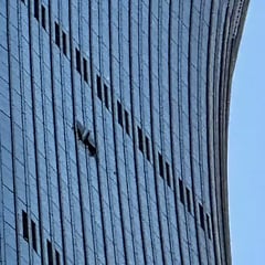 Plane appears to crash into Beijing's tallest building