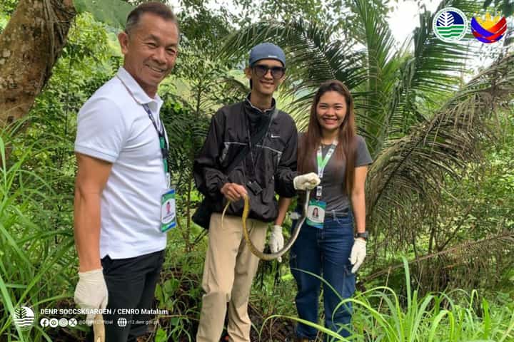 Samar cobra rescued, released in Matalam