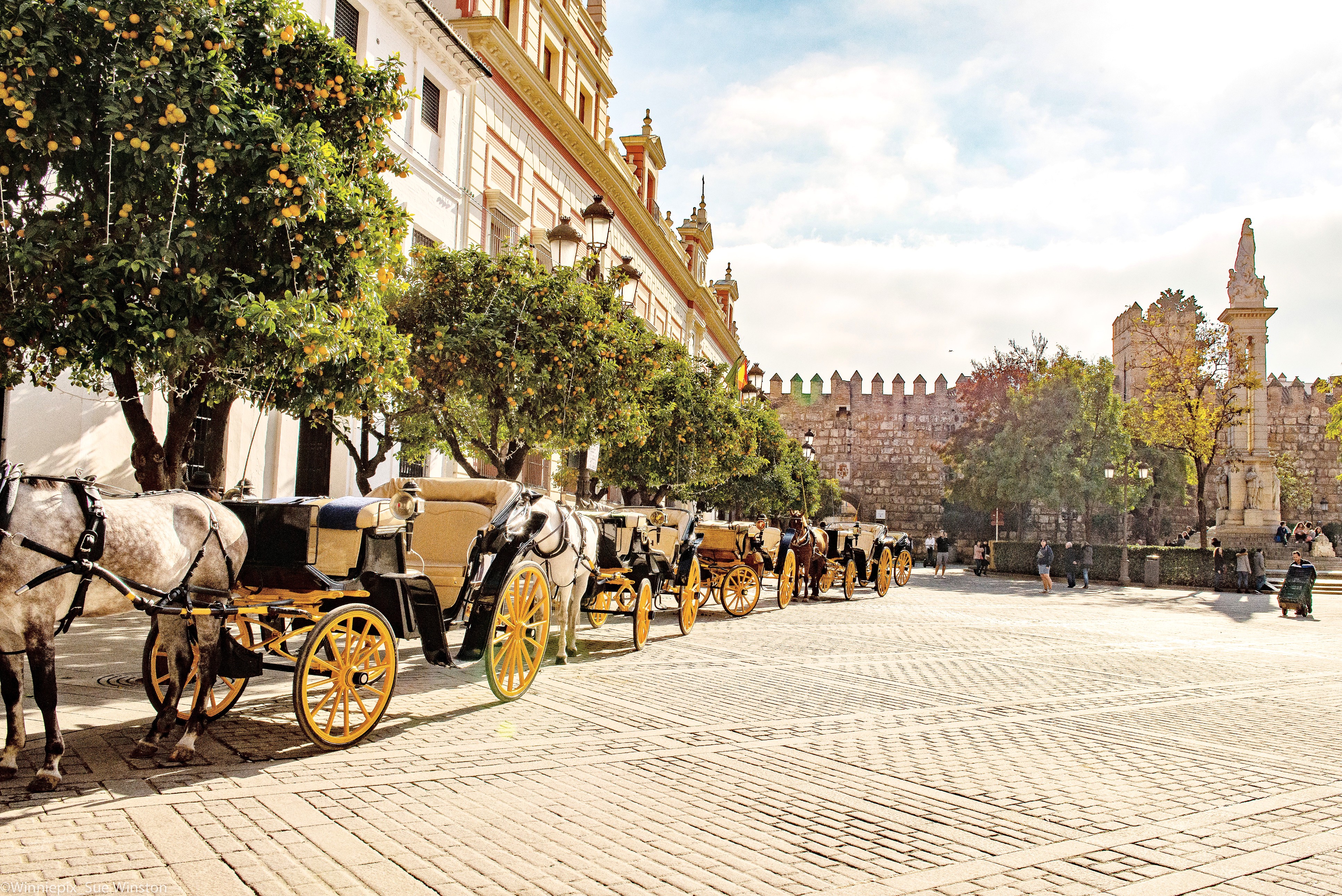 Horse-drawn memories
