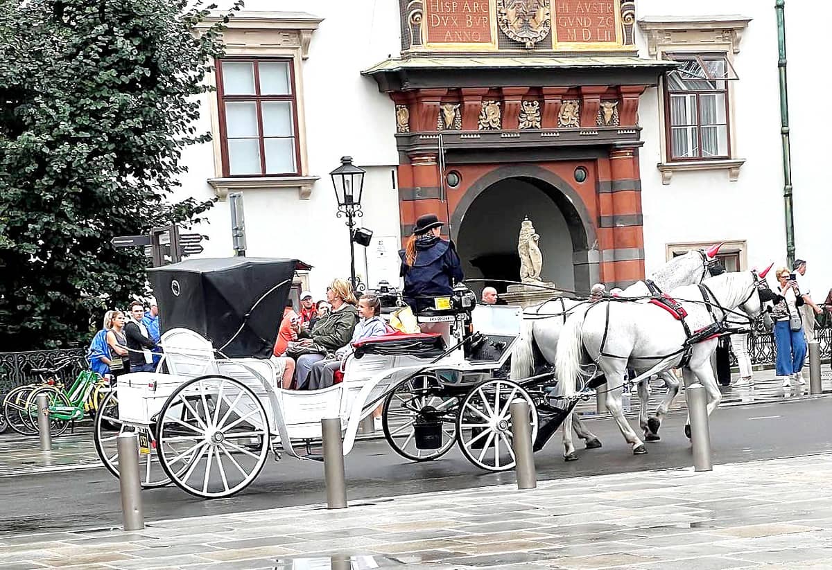 WHITE carriage roams the area.