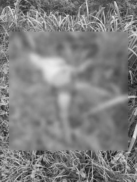 Construction worker found dead in remote area of Barangay Zamboanga in Laoag City 