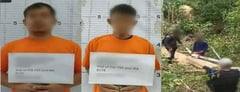 Two arrested in Isabela for alleged illegal logging