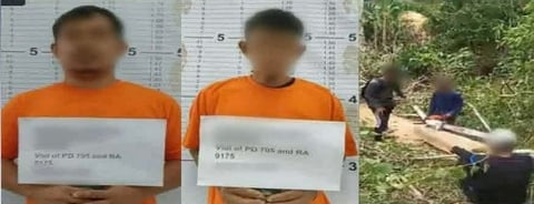 Two arrested in Isabela for alleged illegal logging