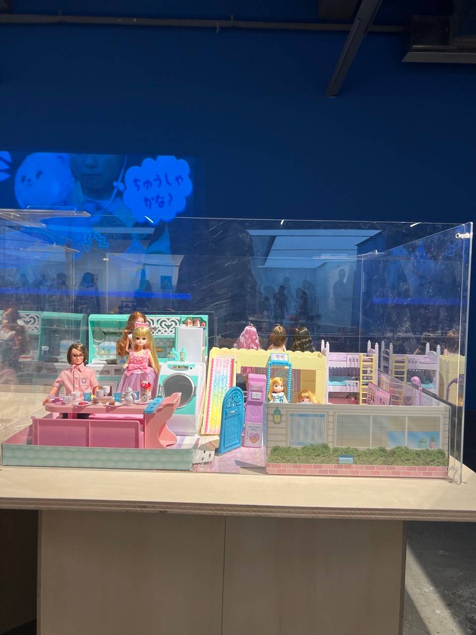 LICCA Dolls with displays.