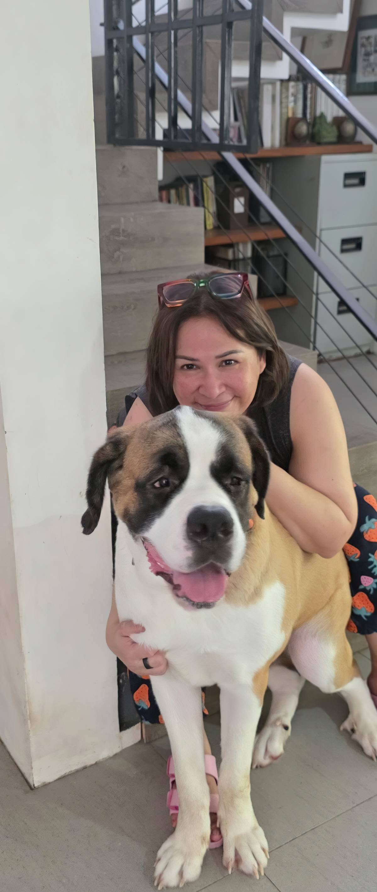 PANDA, the baby Saint Bernard.