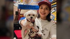 Karylle, the animal lover