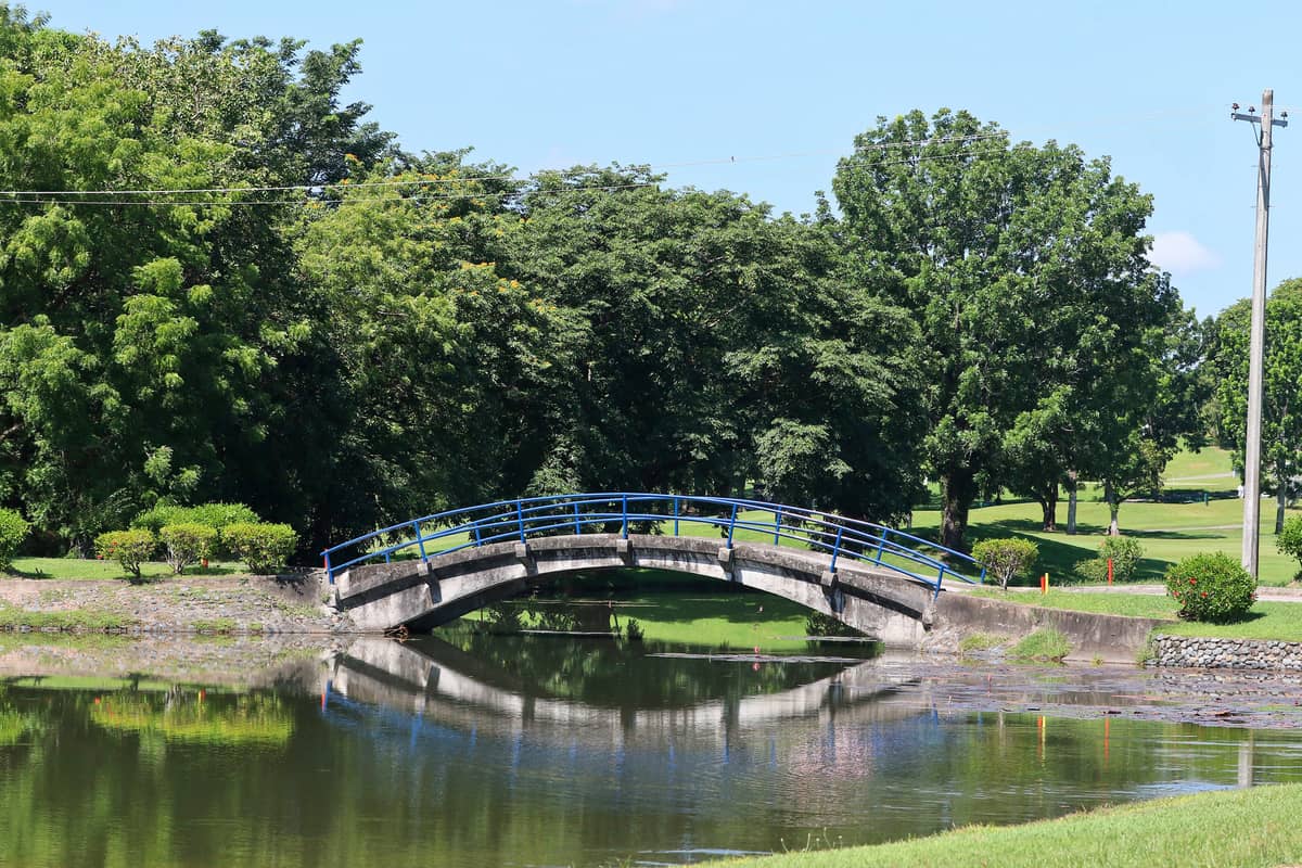 CROSSING the iconic bridge on Luisita Golf and Country Club’s signature 17th hole is an experience every golfer remembers. More than just a pathway to the green, it marks the final steps before taking on one of the course’s most intimidating par 3s — a hole where beauty meets pressure and a single shot can make or break a round.
