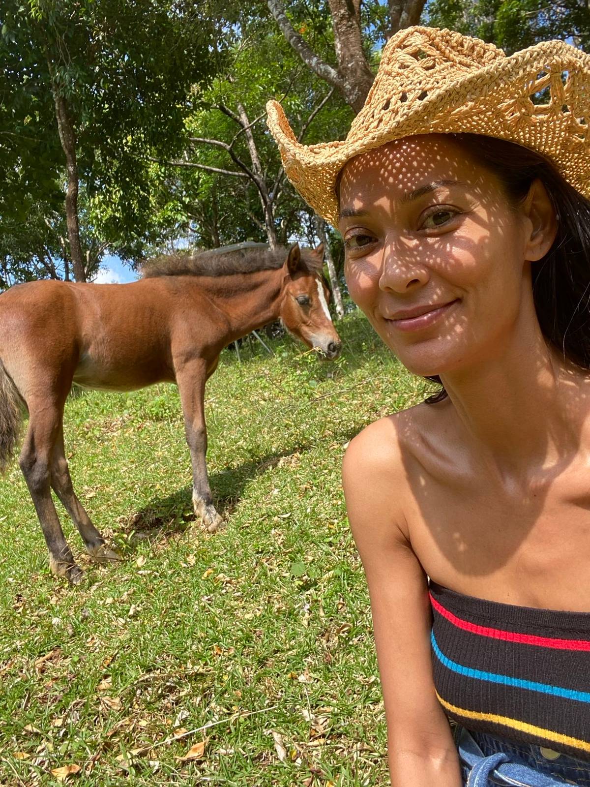 THE youngest is Sophia, she is a mare at 3.