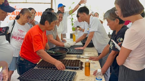 72 learn vegetable growing at Villar farm school 