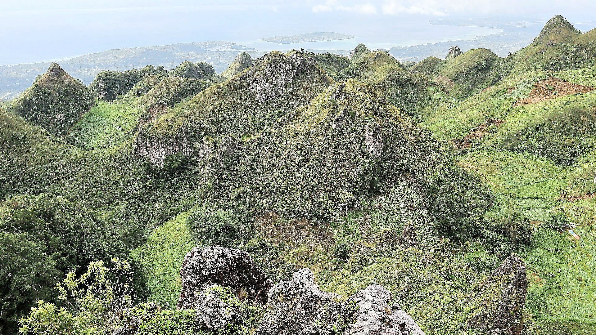 Unlocking the country’s carbon capital